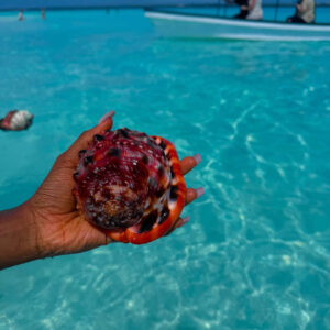 Zanzibar Escapes: Thrilling Adventure Package